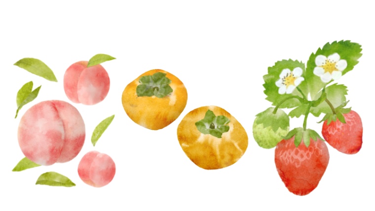 果物・野菜のイラスト｜イラストレーター・吉田あかねのウェブサイト